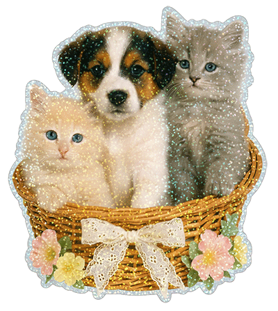 sticker album